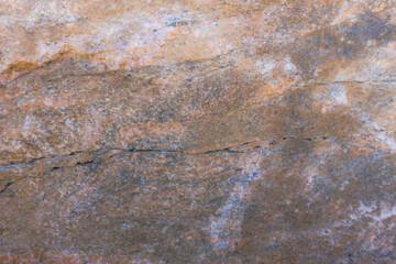 Canadian Shield Rock In Parry Sound