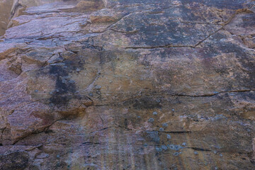 Canadian Shield Rock With Map Lichens