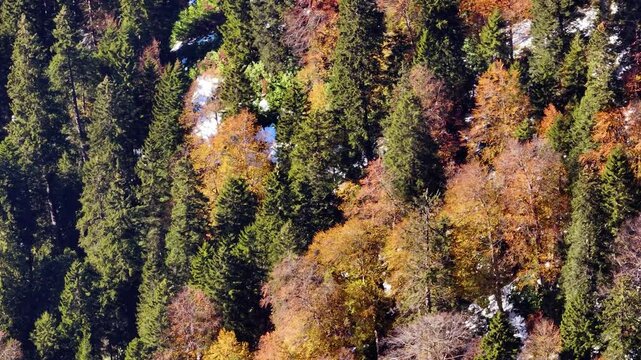 autumn
