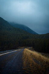 The Majesty of Canadian Nature: Mountains and Dense Forests