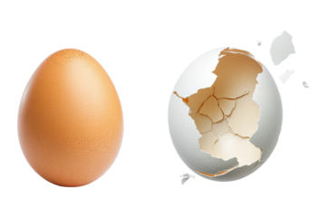 Whole egg and cracked egg with broken shell fragments, isolated on transparent background