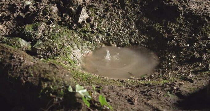 The water drops in the cave, natural water dripping in the cave, panning