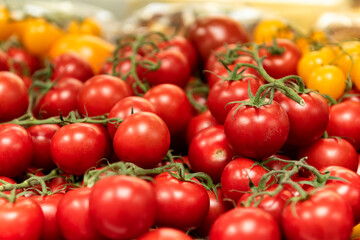 Red and Yellow piccolo tomatoes on vine