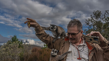 Ring-tailed catta lemurs sit on a man's shoulders. The animals reach for the banana in the human hand. He's smiling, taking pictures on his smartphone. Blue sky, clouds. Madagascar.  Nosy Soa Park