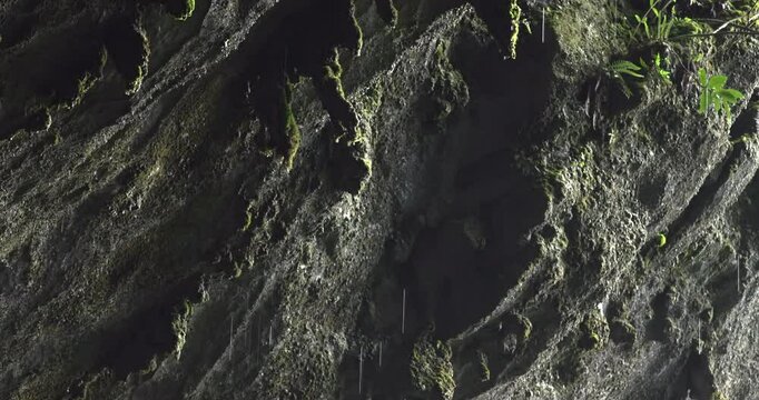 The water drops in the cave, natural water dripping in the cave, close-up detail