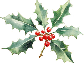 Naklejka premium Holly Branch with Berries in Watercolor Style