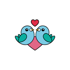 Lovebird vector illustration