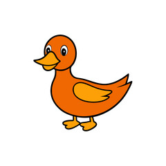 Mandarin duck vector illustration