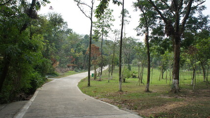 Obraz premium Serene Winding Path Through Lush Green Parkland