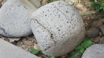 Large Grey Boulder with Natural Markings in Garden Setting