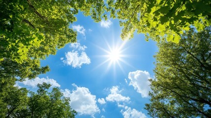 Obraz premium A bright sun shines through green trees and clouds in a clear blue sky.