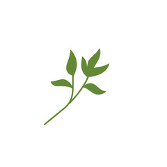 decorative leaf branch