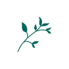 decorative leaf branch