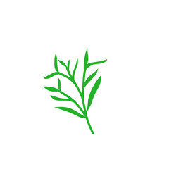 Fototapeta premium decorative leaf branch