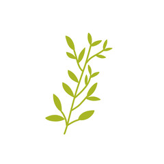 decorative leaf branch