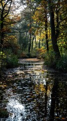 Obraz premium Tranquil Forest Pond with Autumn Reflections
