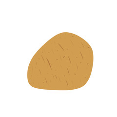 Flat design Potato illustration 