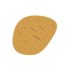 Flat design Potato illustration 