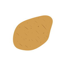 Flat design Potato illustration 