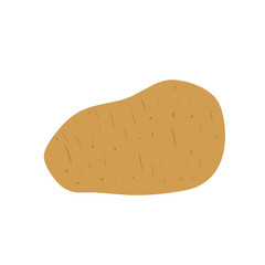 Flat design Potato illustration 