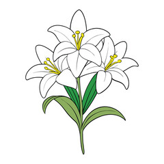 Easter lily flowers are elegant, trumpet-shaped blooms with pure white petals and a sweet fragrance, symbolizing purity, hope, and renewal, often associated with Easter.