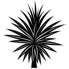 silhouette of a yucca