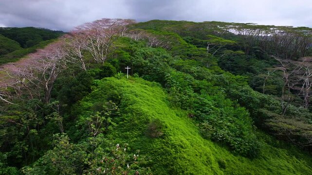 Tahiti Papeno'o sunny mountainside white cross Jesus Christ Catholic Christian religion French Polynesia aerial drone Tiarei church Papeete Teahupoo lush dense jungle forest circle right motion