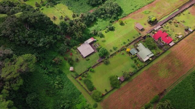Big island Papenoo farmland Teahupoo Tahiti Society Islands tropical forests French Polynesia aerial drone flora banyan ceiba breadfruit uru breadfruit palm trees Tautira Tiarei forward down birdseye