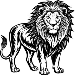 illustration of lion