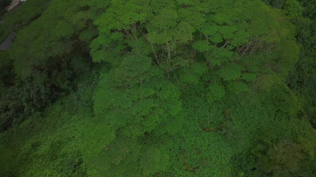 Mountainside ravine valley Tahiti island French Polynesia aerial drone tropical lush jungle flora forest Mahina Papeno'o Teahupoo Papeete Moorea Mont Orohena greenery cloudy birdseye circle right
