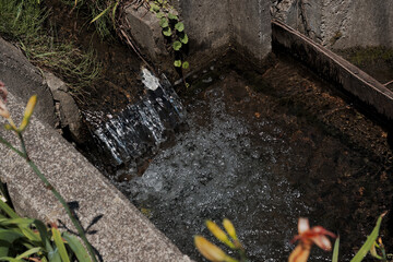 田舎の綺麗な水が流れる用水路