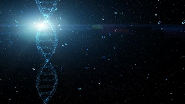 Seamless loop 3d binary numbers and dna chain rotation background.