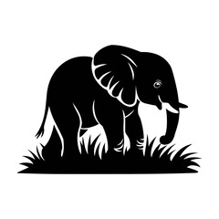 Fototapeta premium Baby Elephant