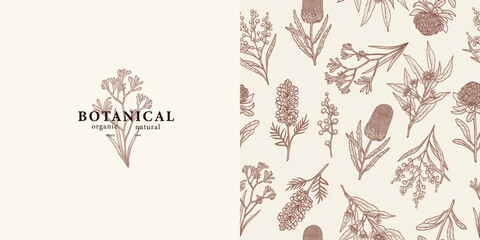 Hand drawn Australian flowers and plants background and logo