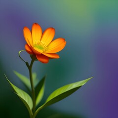 Naklejka premium orange flower on blue background