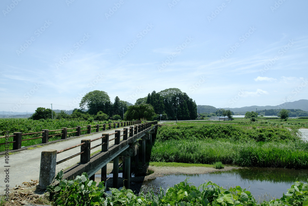 Canvas Prints 夏の田舎の田園風景