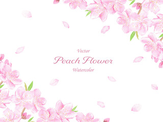 水彩で描いた桃の花の背景