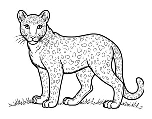 illustration of a leopard