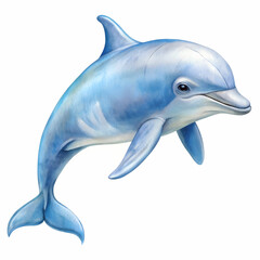 Obraz premium a dolphin on white background