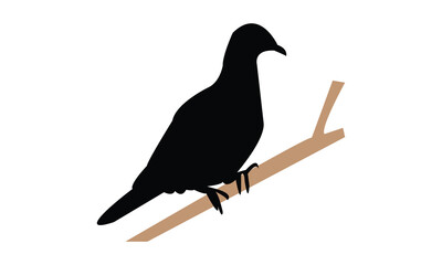 Ring Dove Silhouette Design  And Vector Illustration. 