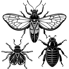 set of insects collections illustrations vector art isolated white background