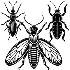 set of insects collections illustrations vector art isolated white background