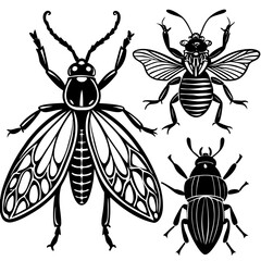 set of insects collections illustrations vector art isolated white background