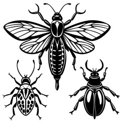 set of insects collections illustrations vector art isolated white background