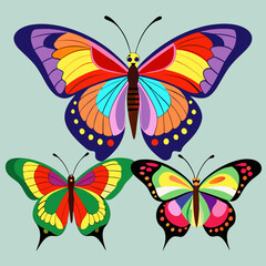 set of butterflies collections illustrations vector art isolated white background