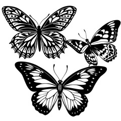 set of butterflies collections illustrations vector art isolated white background