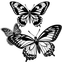 set of butterflies collections illustrations vector art isolated white background