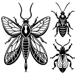 set of insects collections illustrations vector art isolated white background