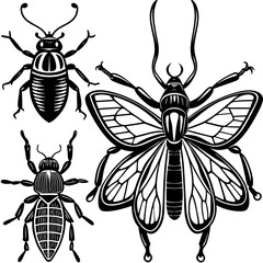 set of insects collections illustrations vector art isolated white background