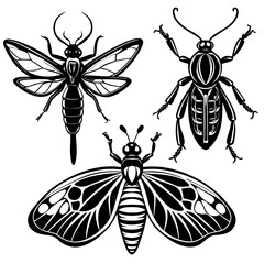 set of insects collections illustrations vector art isolated white background